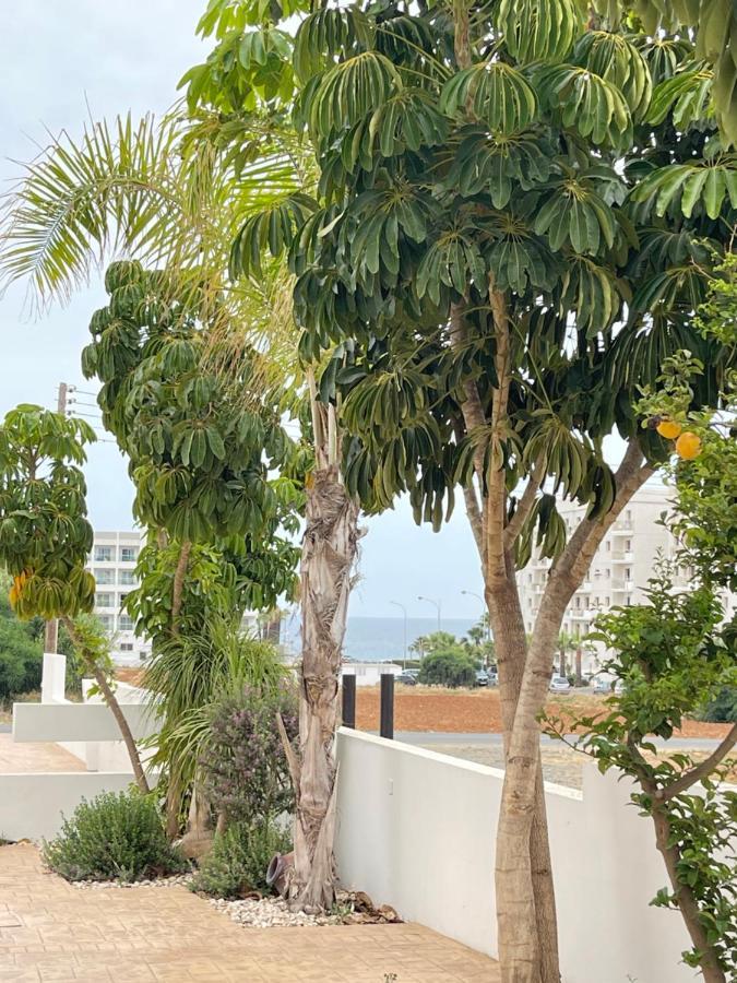 Tonia Seaview Villas Protaras Exteriér fotografie